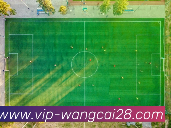 旺财28APP 封面图